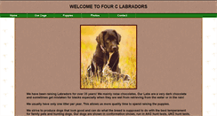 Desktop Screenshot of fourclabs.com
